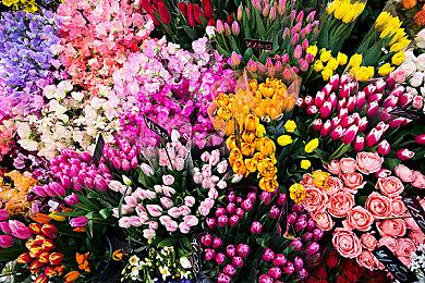 《鬼灭之刃：火神血风谭》新截图 展示单人游戏模式